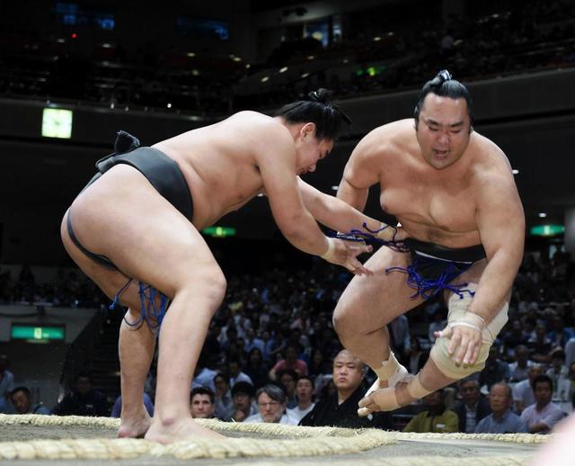 朝青龍のおい・豊昇龍８場所連続勝ち越し　十両昇進は「来場所狙います」