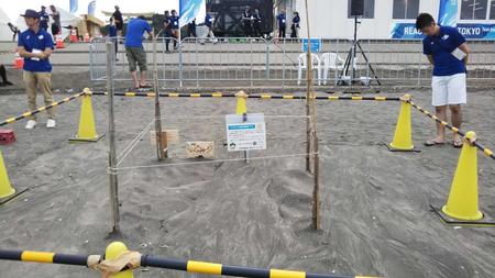 　東京五輪サーフィン会場に出来たウミガメの卵を保護する柵