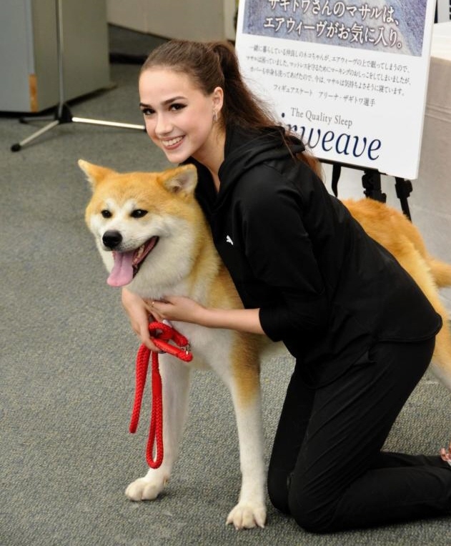 ザギトワ 愛犬マサルのモスクワ秋田犬コンテストｖを明かす 私の誇り スポーツ デイリースポーツ Online