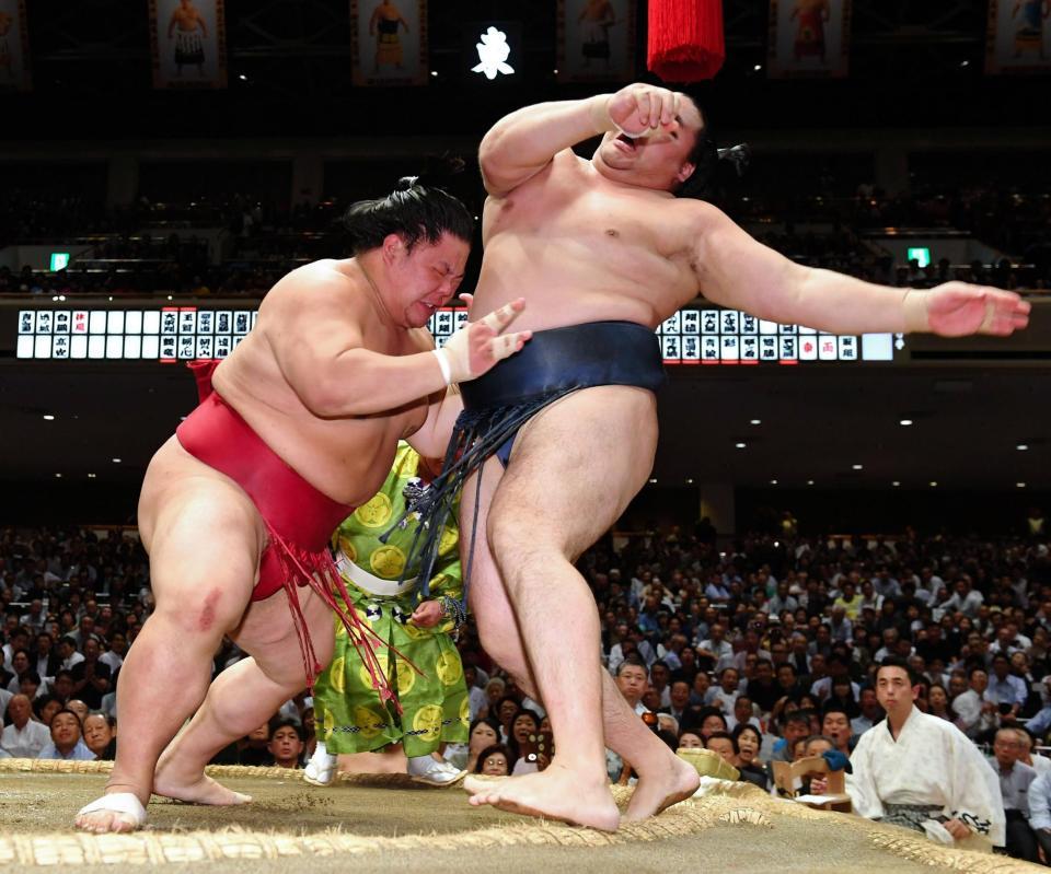 押し出しで鶴竜を破った大栄翔（左）＝両国国技館（撮影・出月俊成）
