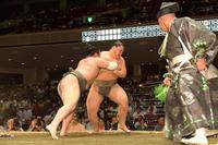 押し出しで敗れた納谷＝両国国技館（撮影・金田祐二）