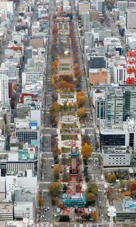 マラソン競歩発着は札幌大通公園東京五輪、市内２周案も