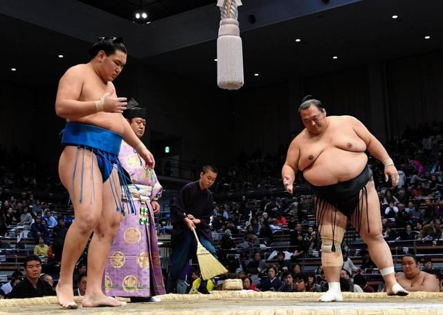 豊ノ島　朝青龍のおい豊昇龍に黒星「雰囲気は似ている」