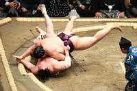 遠藤（上）の切り返しで敗れた白鵬＝両国国技館（撮影・園田高夫）