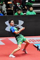 Ｔリーグの試合に出場した水谷隼（手前）とベンチで応援する（後列左から）張本智和、丹羽孝希