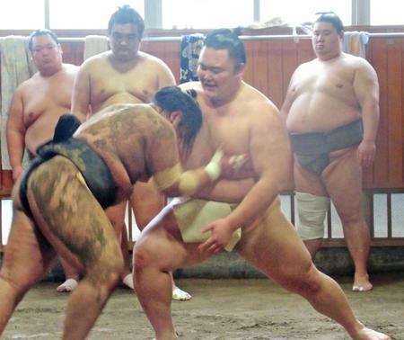 　若い衆のぶつかり稽古に胸を出す朝乃山（右）