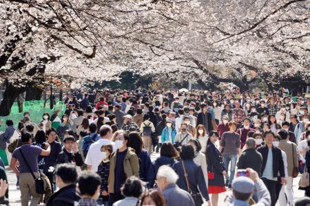 　東京・上野公園で桜を楽しむ大勢の花見客＝２１日午後
