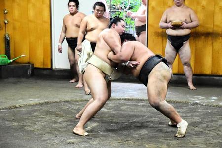 　若い衆と相撲を取る琴勝峰（左）