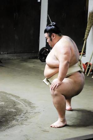 基礎運動を行う貴景勝