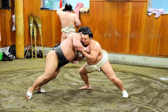 照強 観衆少人数でも 盛り上げられる相撲を 大量の塩まきもやります スポーツ デイリースポーツ Online