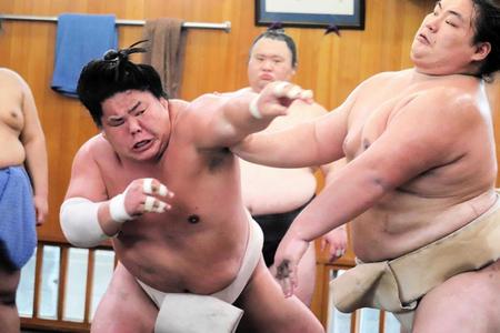 　申し合いをする大栄翔（左）＝日本相撲協会提供