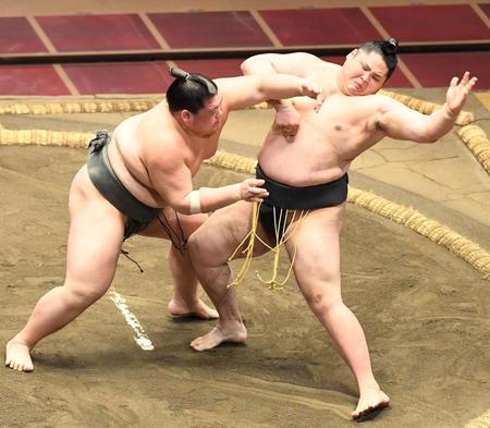 貴源治（右）を押し倒しで破る納谷（撮影・中田匡峻）