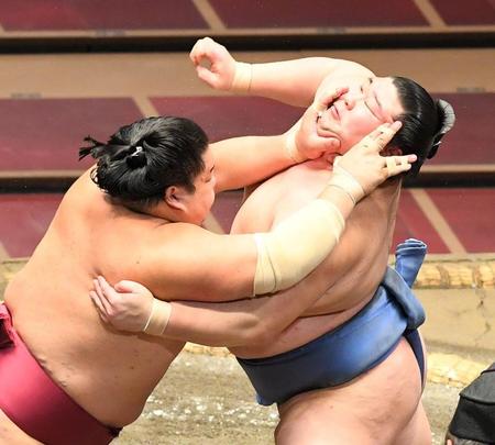 大栄翔（左）の突きに上体がのけぞる正代＝両国国技館（撮影・中田匡峻）