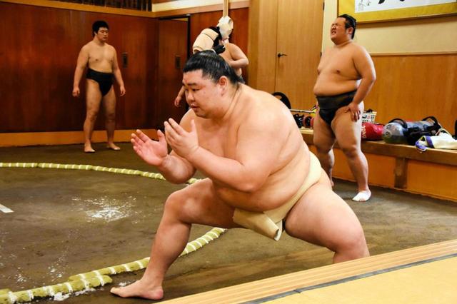 新大関・正代が稽古再開　地元で祝福され過ぎてお疲れ「あとは相撲に集中するだけ」