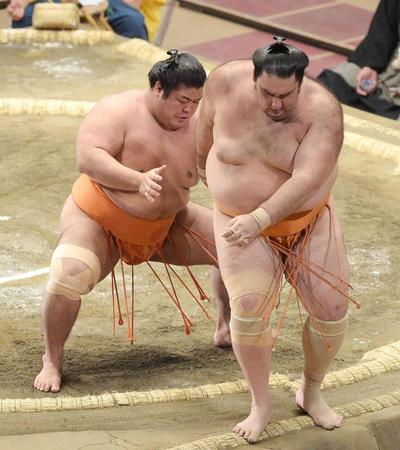 　志摩ノ海（左）が送り出しで魁聖を破る