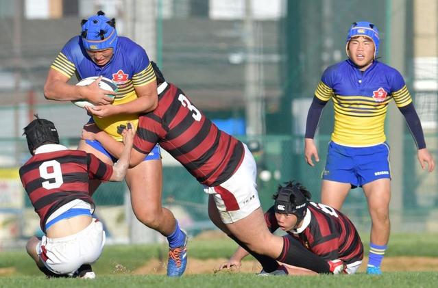 京都成章 実力見せつけた！“ジャイアン”ロック本橋拓馬が存在感/スポーツ/デイリースポーツ online