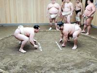 　相撲を取る千代大龍（右）と千代翔馬＝日本相撲協会提供