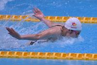 女子５０メートルバタフライを制した池江璃花子（代表撮影）