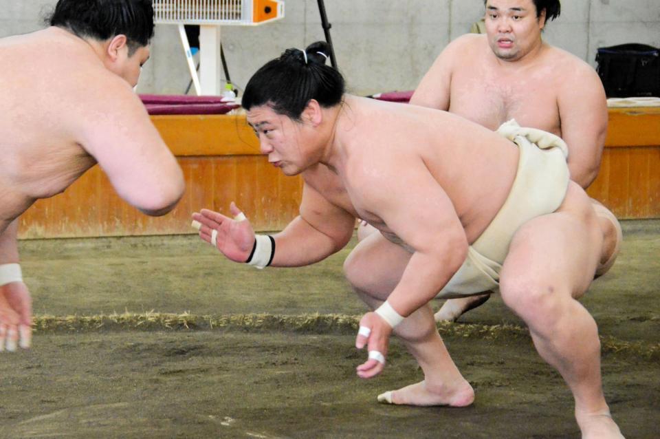 合同稽古に合流し関取衆との申し合いを行う若隆景（代表撮影）