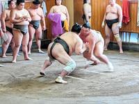 若い衆相手に相撲を取る朝乃山（右）＝日本相撲協会提供