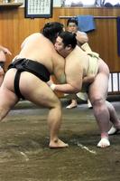 若い衆と相撲を取る剣翔（右）＝日本相撲協会提供