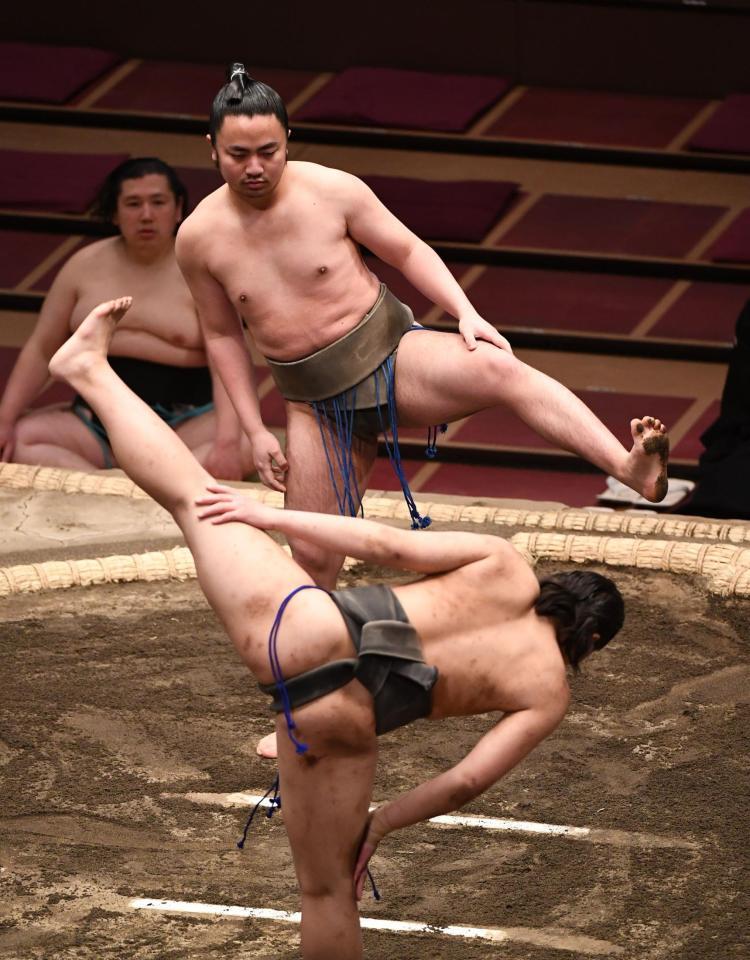 　四股をふむ勝南桜（撮影・園田高夫）