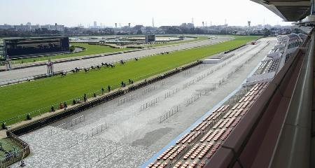 　無観客で実施された日本中央競馬会のレース＝２０２０年２月、千葉県船橋市の中山競馬場