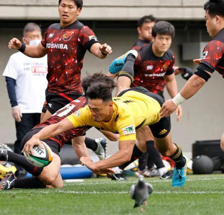 ラグビー、サントリー開幕４連勝東芝に圧勝、トップリーグ