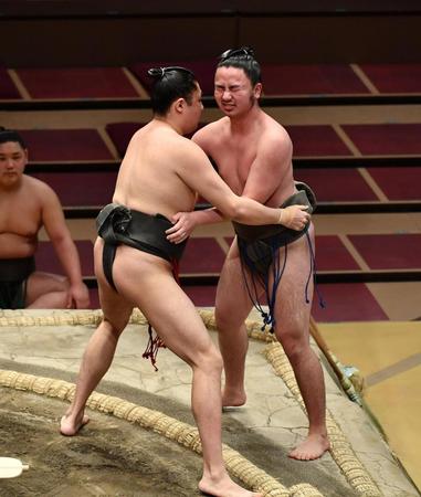 　大志龍（左）に寄り切りで敗れた勝南桜（撮影・高石航平）