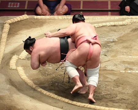 武将山（左）を引っ掛けで下した宇良＝両国国技館（撮影・開出牧）