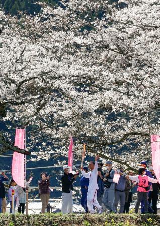 栃木２日目、聖火が桜並木を通過前回東京大会のランナーも