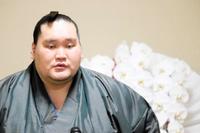 　優勝一夜明けのリモート会見を行う照ノ富士（日本相撲協会提供）