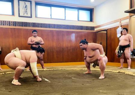 　豊山（左）と相撲を取る稽古を行った正代（日本相撲協会提供）