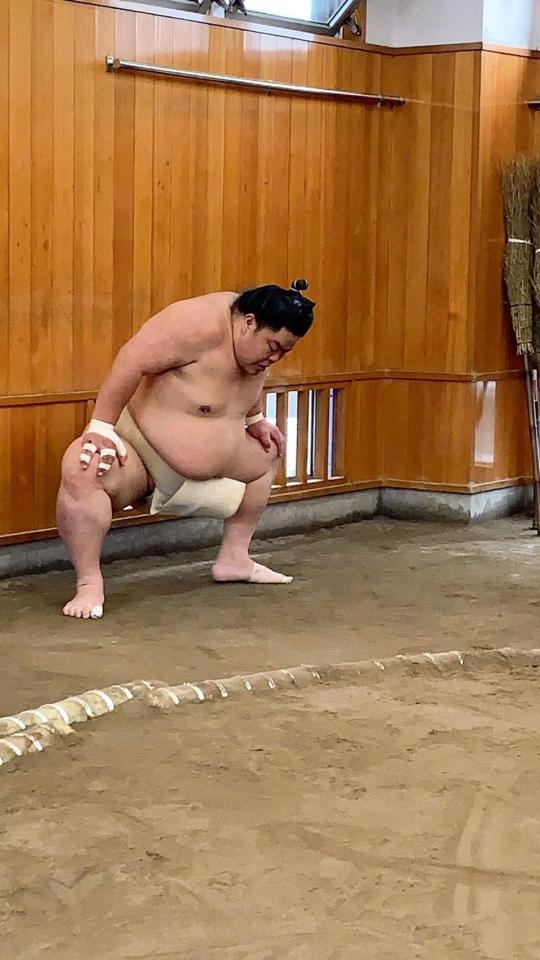 基礎運動をする大栄翔（日本相撲協会提供）