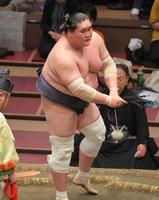 霧馬山を下し、全勝をキープした照ノ富士＝両国国技館（撮影・高石航平）