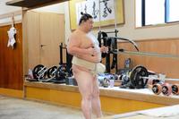 　器具を用いトレーニングする正代（代表撮影）