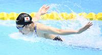 　１００メートルバタフライ予選で力泳する池江璃花子（撮影・高石航平）