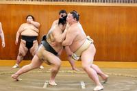 若い衆と申し合い稽古をする正代（右）＝代表撮影