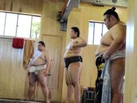 若い衆の稽古をみる貴景勝（右）と隆の勝（左）＝代表撮影