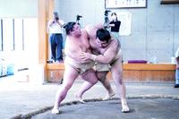 　正代（左）を攻め込む高安（代表撮影）