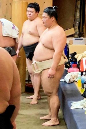 　朝稽古で秋場所に向け調整する宇良（日本相撲協会提供）