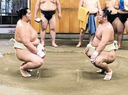 琴恵光（右）と申し合い稽古をする琴ノ若（日本相撲協会提供）