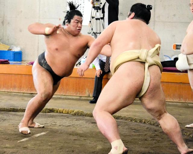 新十両の平戸海“黒まわし”で合同稽古 関取衆とも申し合い「意外に動け 