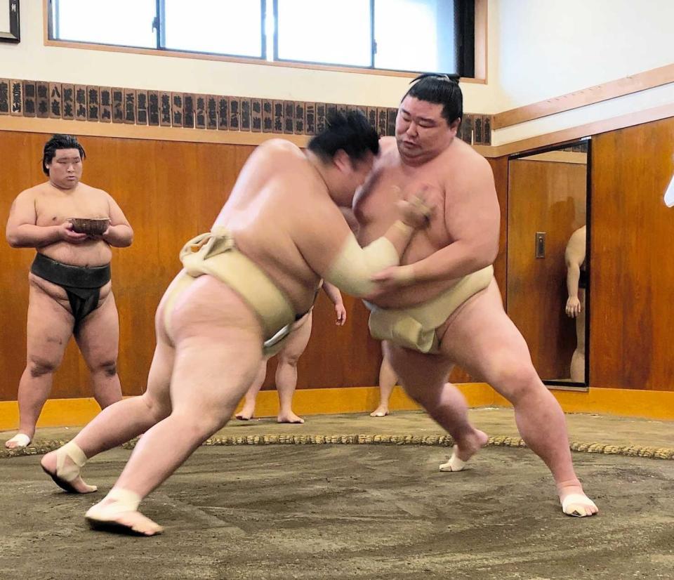 　豊山（左）と稽古する正代（日本相撲協会提供）