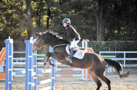 　馬術を行う太田捺＝栃木県・壬生乗馬クラブ