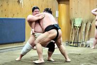 　相手の寄りをこらえる宇良（左）＝代表撮影