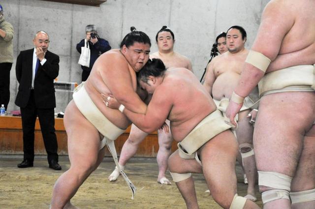 霧馬山、モンゴルの後輩・豊昇龍に９戦５勝「負けちゃまずいから」合同稽古