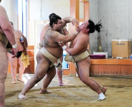 豊昇龍（右）を攻める高安（代表撮影）