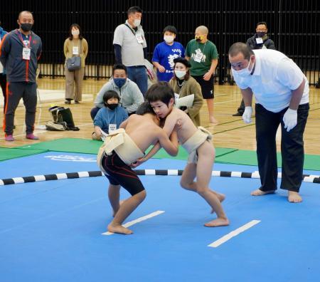 　相撲大会「柏力杯」で相撲を取る子供たち＝２５日、千葉県柏市