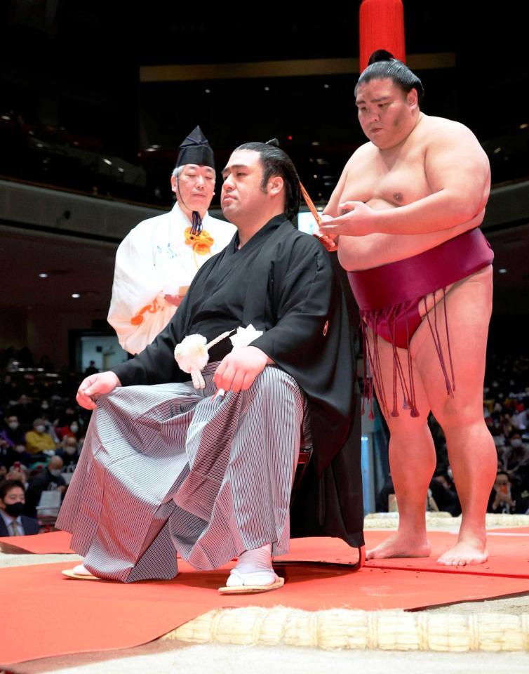 相撲⭐︎反物 粗布⭐︎高安関 - スポーツ